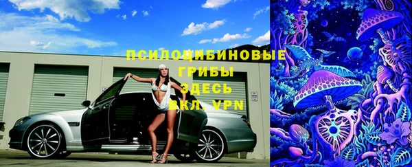 винт Аркадак